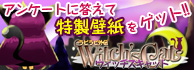 3DS�_�E�����[�h�\�t�g ���r���r�O�`�@Witch's Cat�i�E�B�b�`�Y�L���b�g�j �A���P�[�g