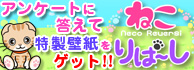 DSi�E�F�A �˂���΁[�� �A���P�[�g