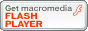FLASH_PLAYER