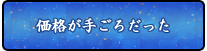 価格が手ごろだった