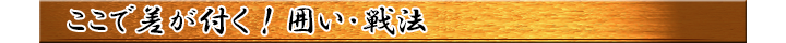 初心者でも安心